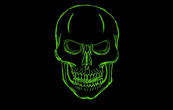 Картинка зеленый, череп, минимализм, голова, скелет, skull