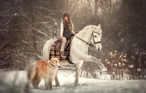 Картинка зима, снег, лошадь, собака, девочка, наездница