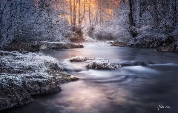 Картинка зима, иней, свет, снег, деревья, природа, река