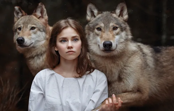 Картинка девушка, волки, друзья, девушка и волки, Светлана Никотина
