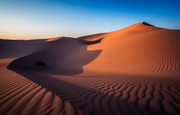 Картинка пустыня, Abu Dhabi, ОАЭ