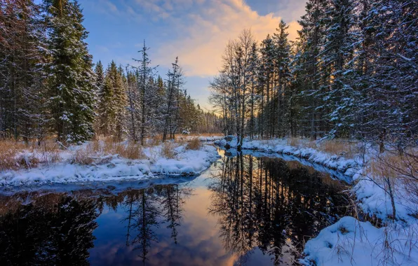 Картинка зима, лес, вода, снег, деревья, отражение, сугробы, речка, Швеция, Arvika