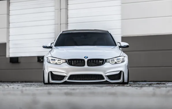 Картинка BMW, Front, Face, Silver, F82, Sight