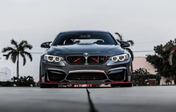 Картинка BMW, Front, Gray, Face, Strict, Sight, F83