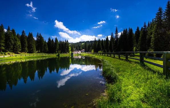 Картинка лес, озеро, отражение, забор, Словения