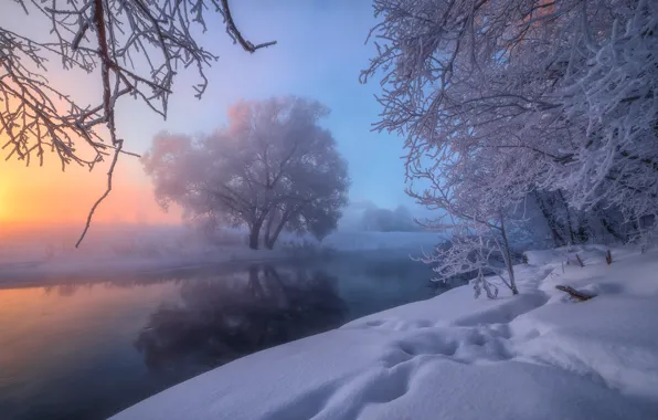 Картинка зима, снег, деревья, река, Россия, Река Истра