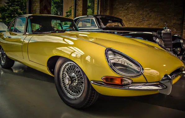 Картинка жёлтый, спорткар, Jaguar E-Type, автосалон