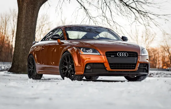 Картинка Audi, Orange, S-Line