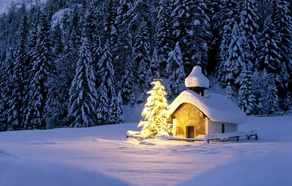 Картинка зима, лес, свет, снег, огоньки, ели, Рождество, церковь, Новый год, домик, ёлка, гирлянды