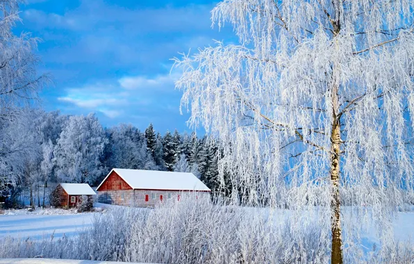 Картинка зима, лес, небо, трава, солнце, облака, снег, деревья, поляна, домики, Финляндия, Paimio
