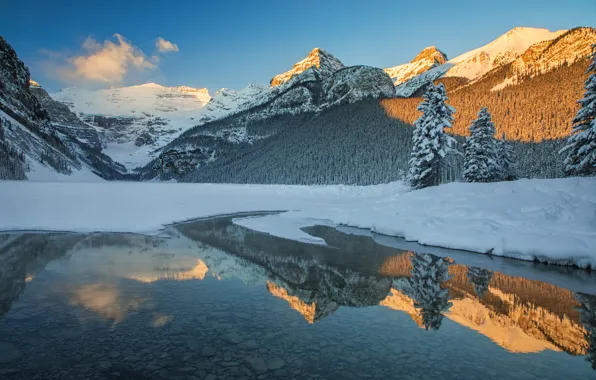 Картинка зима, лес, снег, горы, озеро, отражение, ели, Канада, Альберта, Banff National Park, Alberta, Lake Louise, …