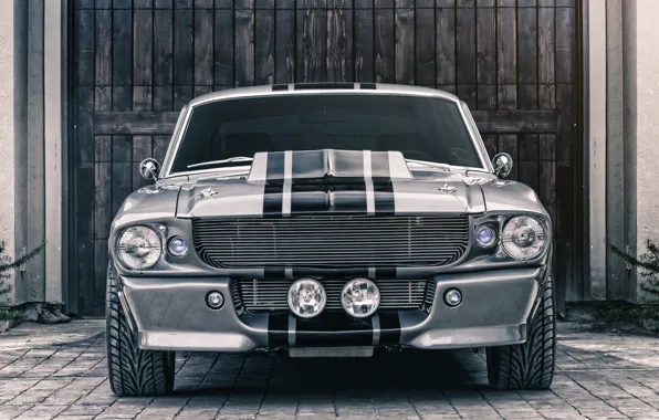 Картинка Mustang, Ford, Shelby, GT500, Eleanor, Muscle car, Silver
