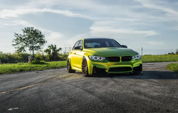 Картинка BMW, Yellow, F80, Sight, LED