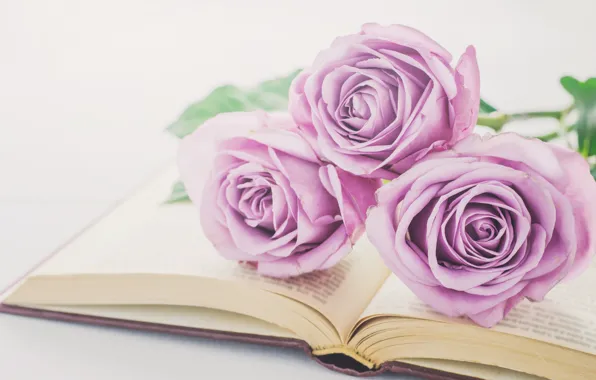 Картинка цветы, розы, букет, книга, love, vintage, flowers, romantic, purple, book, roses, violet