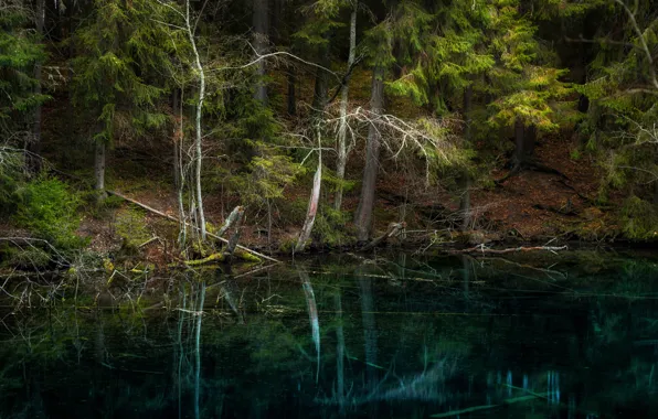 Картинка лес, деревья, озеро, отражение, Финляндия, Finland, Hollola