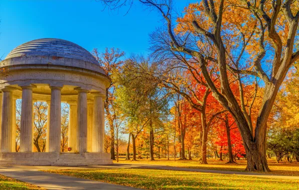 Картинка осень, листья, солнце, деревья, парк, желтые, Вашингтон, США, мемориал
