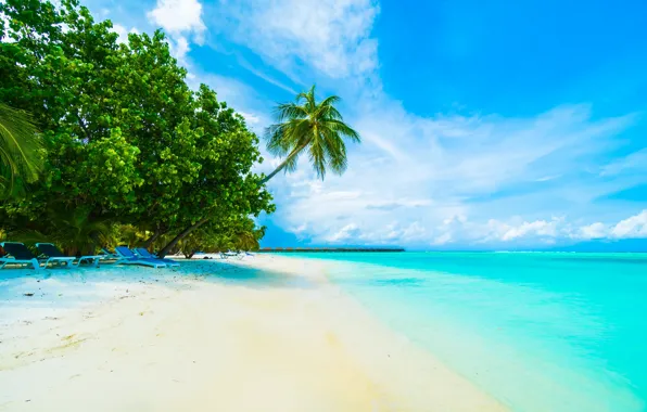 Картинка Песок, Море, Пляж, Лето, Берег, Тропики, Пальмы, Мальдивы