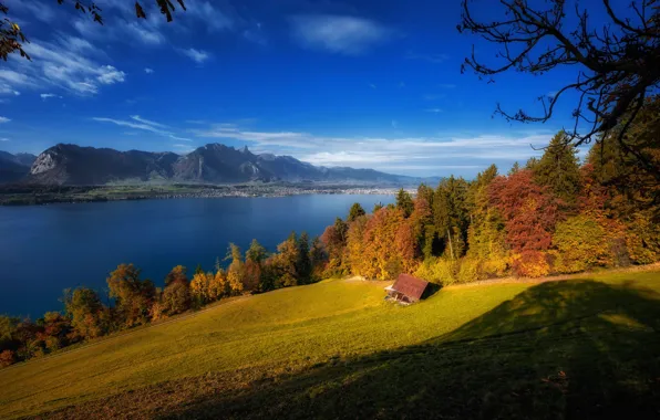 Картинка осень, деревья, горы, озеро, Швейцария, Switzerland, Lake Thun, Bernese Alps, Бернские Альпы, Тунское озеро, Бернский …