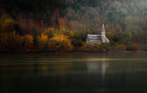 Картинка осень, деревья, река, церковь, леса