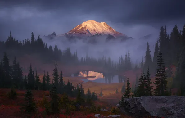 Картинка лес, небо, деревья, тучи, туман, озеро, скалы, гора, США