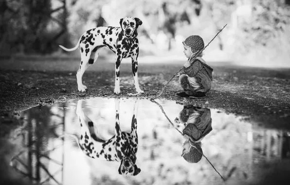 Картинка отражение, ребенок, собака, мальчик, лужа, Далматин, чёрно - белое фото