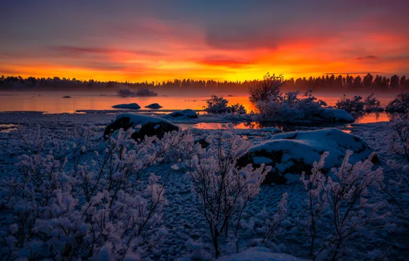 Картинка зима, снег, закат, озеро, Швеция, кусты, Sweden, Lapland, Arjeplog, Лаппланд, Арьеплуг, Lake Hornavan, озеро Хурнаван