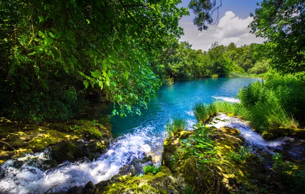 Картинка лес, река, Хорватия, Croatia, Krka National Park, река Крка, Krka River, Национальный парк Крка