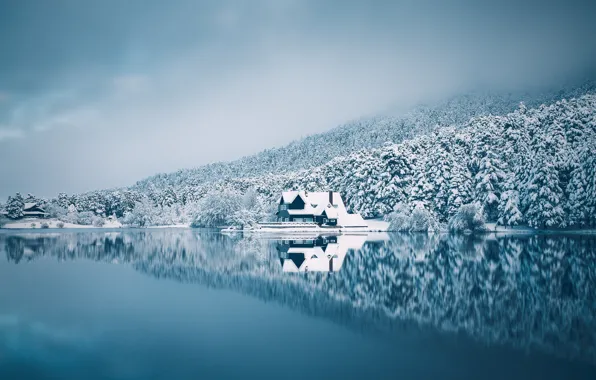 Картинка зима, лес, небо, снег, озеро, дом, отражение