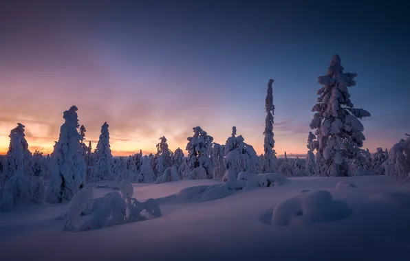 Картинка зима, снег, деревья, закат, сугробы, Финляндия, Finland, Lapland, Лапландия, Ylläs, Äkäslompolo, Акасломполо, Юлляс