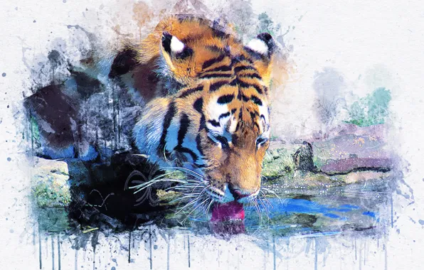 Картинка тигр, картина, акварель, живопись
