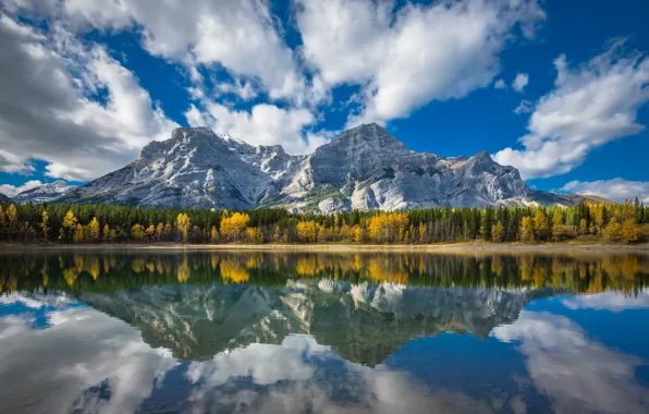 Картинка осень, лес, облака, деревья, горы, озеро, отражение, Канада, Альберта, Alberta, Canada, Канадские Скалистые горы, Canadian …
