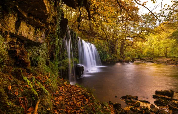 Картинка осень, деревья, река, Англия, водопад, England, Уэльс, Wales, Brecon Beacons National Park, Национальный парк Брекон-Биконс, …