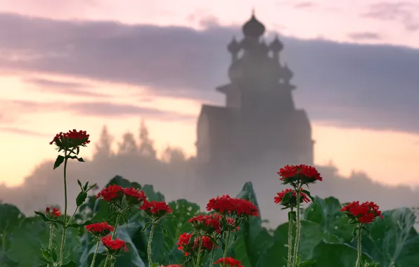 Картинка цветы, храм, Архангельская область, Подпорожье