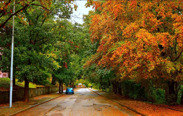 Картинка Дорога, Осень, Деревья, Машина, Car, Fall, Листва, Autumn, Road, Trees, Leaves