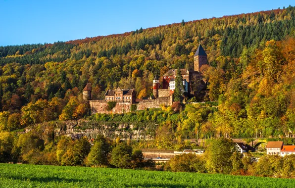 Картинка осень, замок, Германия, Germany, Baden-Wurttemberg, Zwingenberg, Schloss Zwingenberg