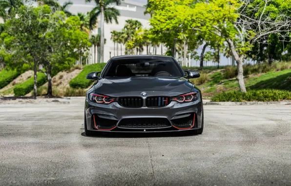 Картинка BMW, Front, Face, Sight, F83, Evel