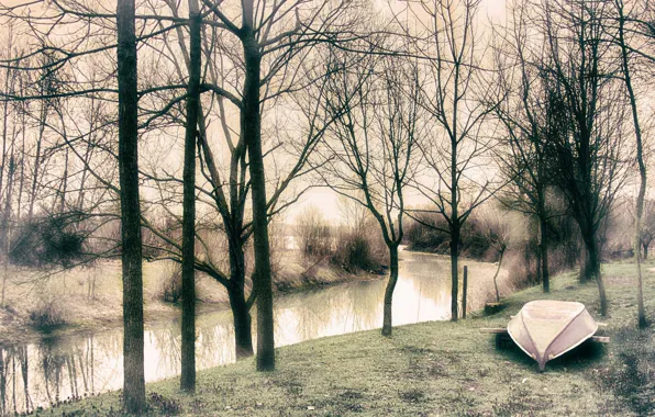 Картинка деревья, туман, река, лодка