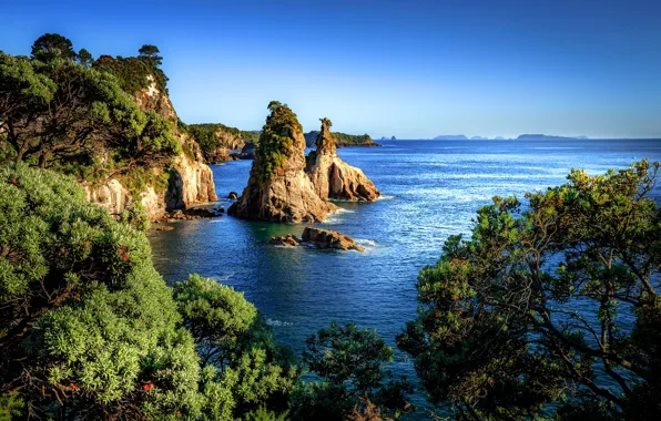 Картинка море, небо, солнце, деревья, камни, скалы, побережье, Новая Зеландия, горизонт, Hahei