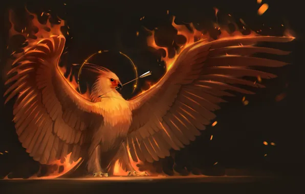 Картинка огонь, птица, крылья, арт, стрела, феникс, phoenix