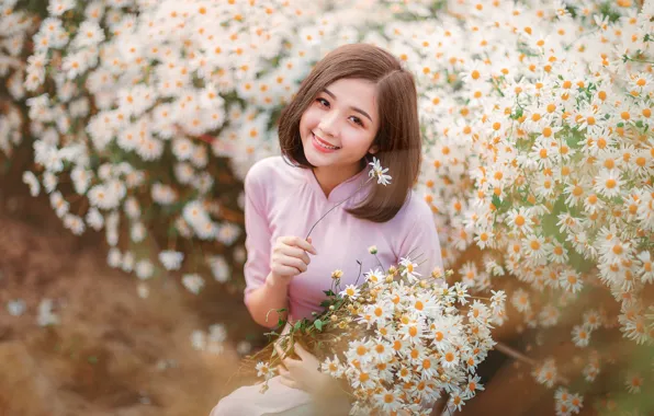 Картинка девушка, цветы, улыбка, ромашки, азиатка