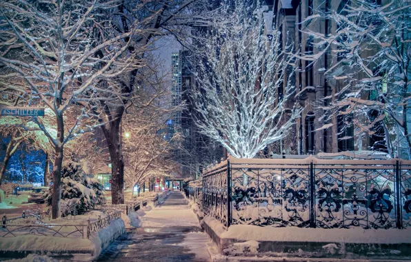 Картинка зима, снег, деревья, улица, Чикаго, Иллинойс, Chicago, Illinois