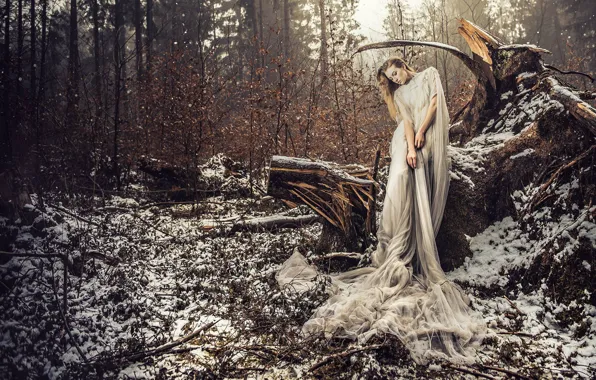 Картинка лес, девушка, снег, поза, ситуация, платье, коряга, VOODOO Wonderland