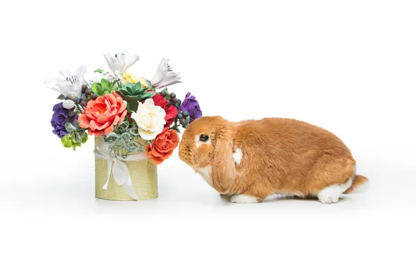 Картинка цветы, корзина, кролик, Пасха, happy, rabbit, flowers, spring, Easter, eggs, bunny, decoration