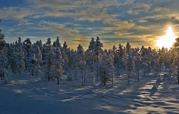 Картинка зима, снег, деревья, закат, Норвегия