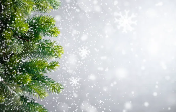 Картинка зима, снег, снежинки, елка, Новый Год, Рождество, Christmas, winter, snow, Xmas