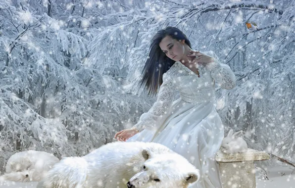 Картинка зима, девушка, снег, деревья, кролик, медведь, лиса, белый медведь, полярная лисица, белый кролик
