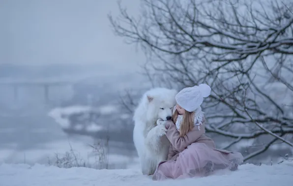 Картинка зима, снег, радость, собака, девочка, самоед