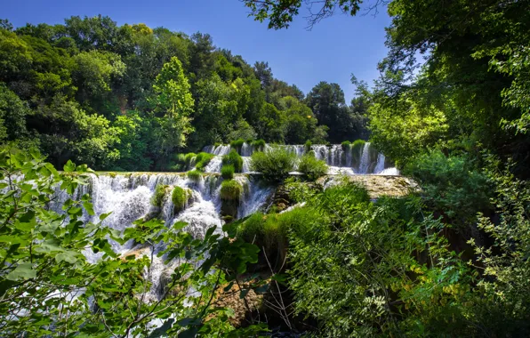 Картинка лес, деревья, водопады, каскад, Хорватия, Croatia, Krka National Park, Национальный парк Крка