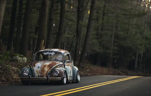 Картинка Volkswagen, Old, Beetle, Road, Forest, Rusty