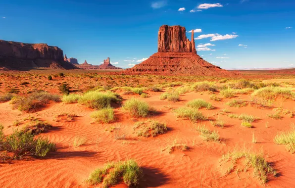 Картинка песок, небо, трава, солнце, облака, камни, скалы, пустыня, простор, США, Arizona